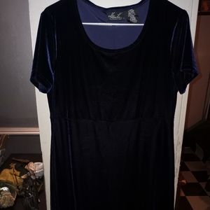 Blue velvet/velour? Dress size large